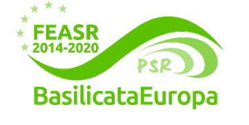 Logo del FEASR